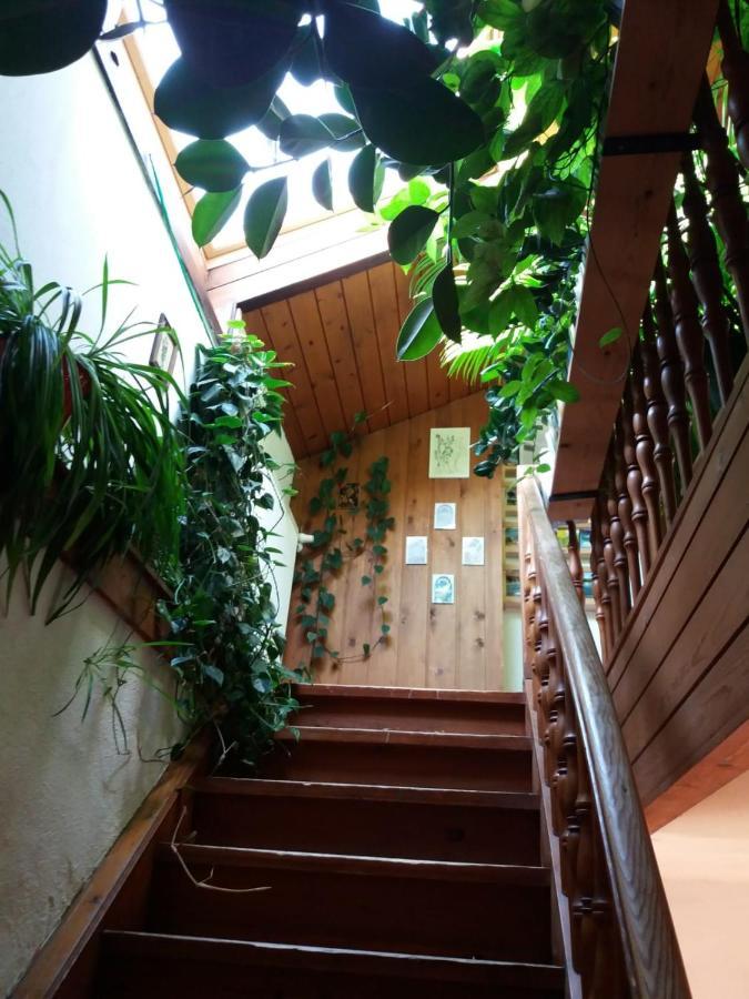 Bed and Breakfast Koestlhof, Familie Hassler Обердраубург Экстерьер фото