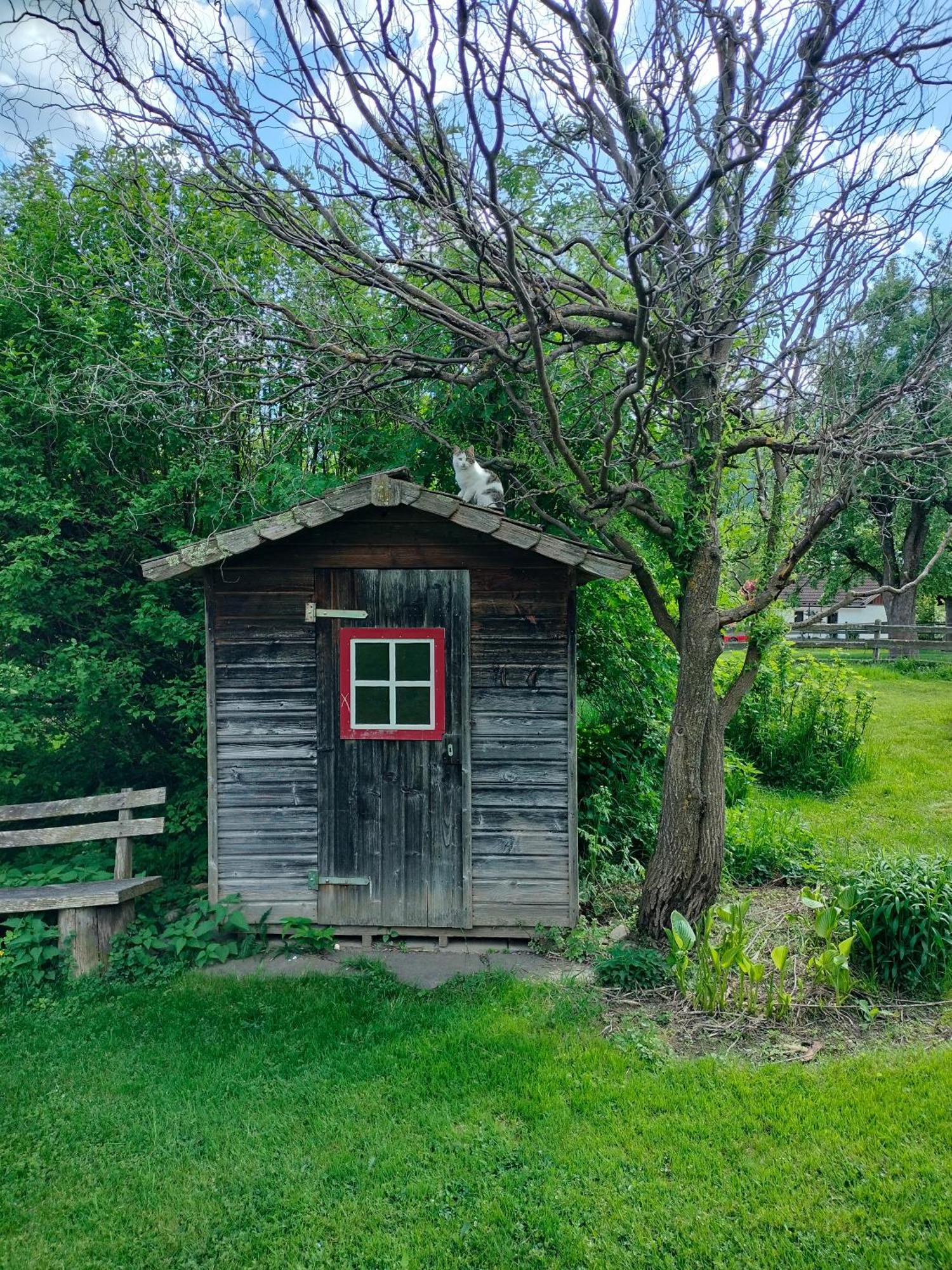 Bed and Breakfast Koestlhof, Familie Hassler Обердраубург Экстерьер фото